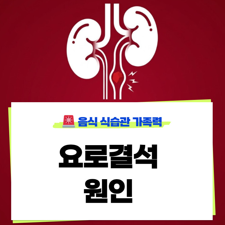 요로결석 원인 6가지 음식 가이드